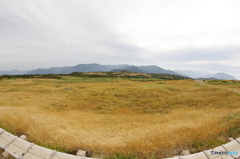 苗場山山頂付近