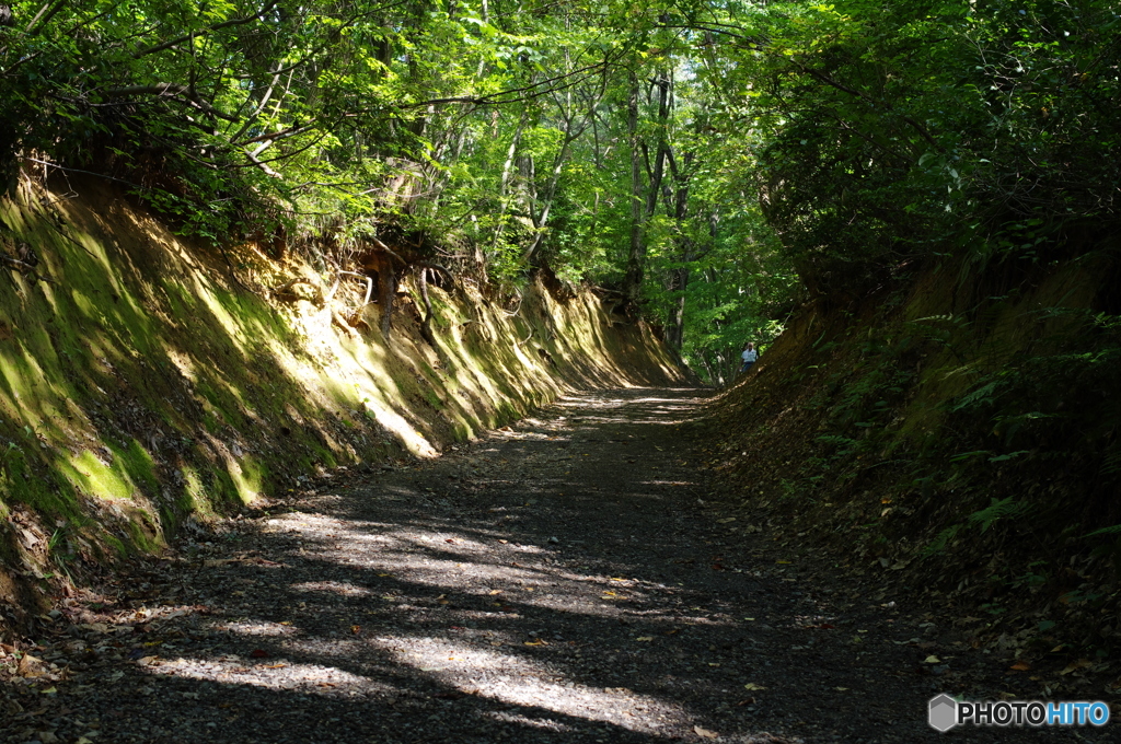 護摩堂山登山道①