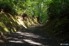 護摩堂山登山道①