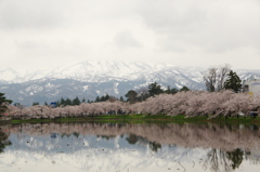 高田公園④