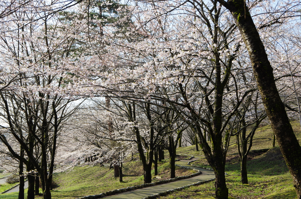 村松公園23