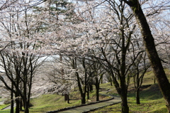 村松公園23