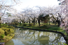 村松公園⑤