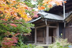 石油王の館(庭編⑩)