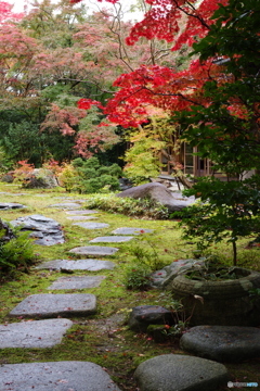 石油王の館(庭編①)