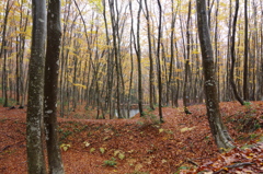 IMGP0170