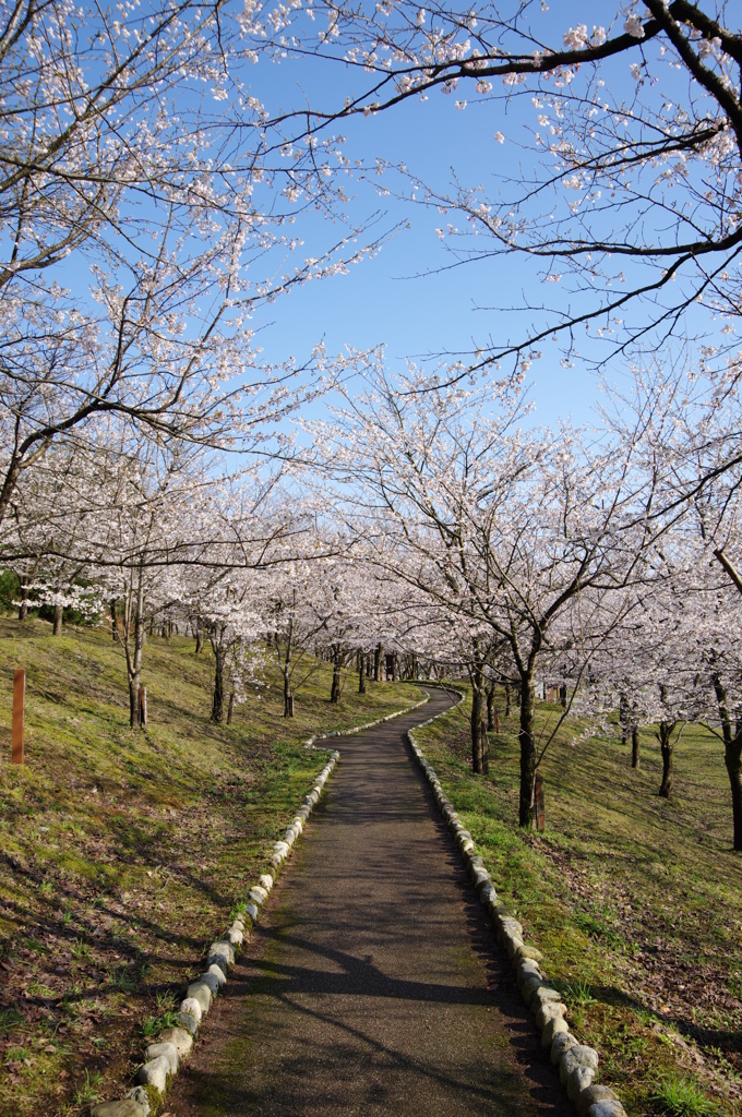 村松公園27