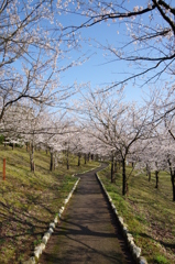 村松公園27