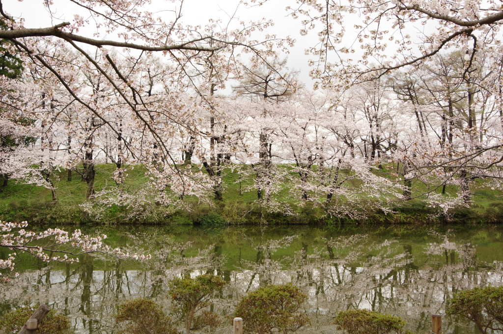 高田公園②