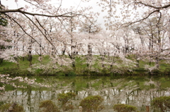高田公園②