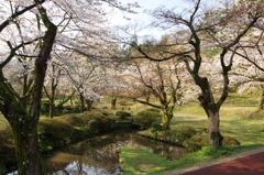 村松公園⑱