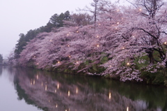高田公園①