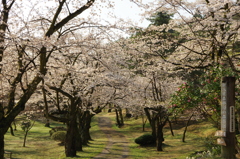 村松公園⑰