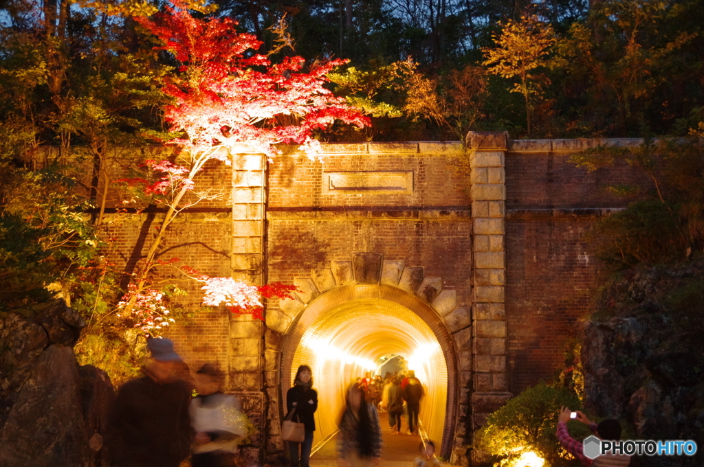 弥彦紅葉園トンネル