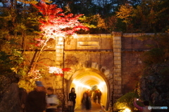 弥彦紅葉園トンネル