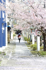 弥彦公園⑦