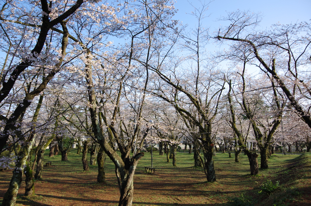 村松公園⑨