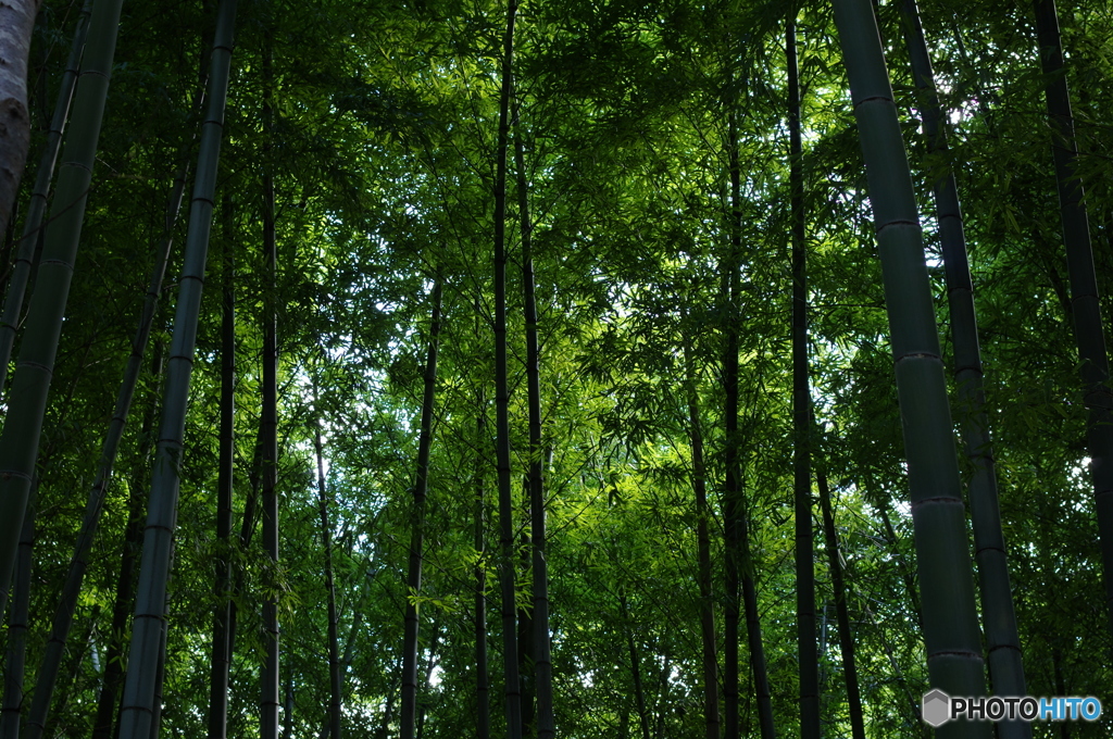護摩堂山登山