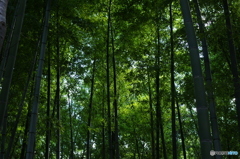 護摩堂山登山