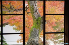 ２階窓の眺め