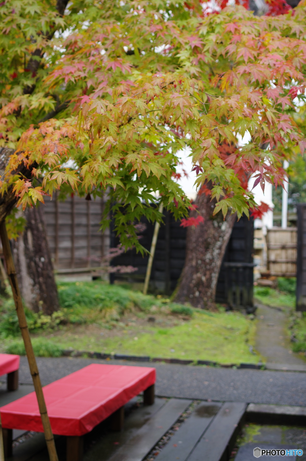 石油王の館(庭編⑦)