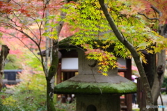 いつの日か