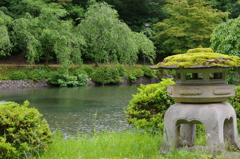 枝垂桜と灯篭
