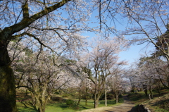 村松公園22
