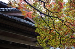 石油王の館(庭編⑪)