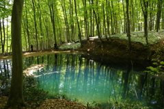 美人林の池④