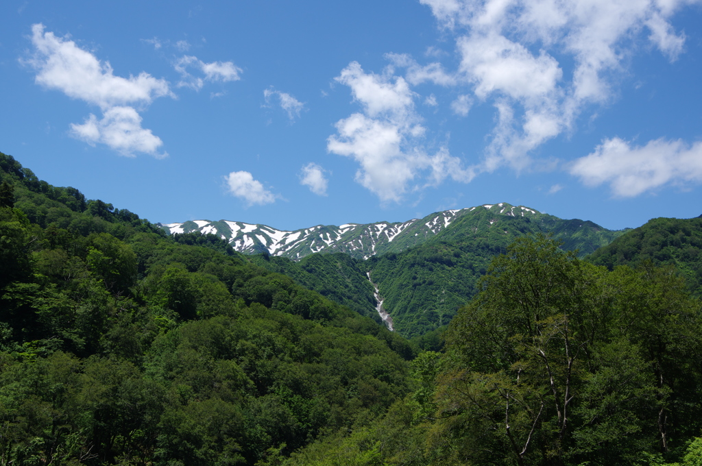 ぷち登山