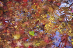 長岡紅葉園⑤