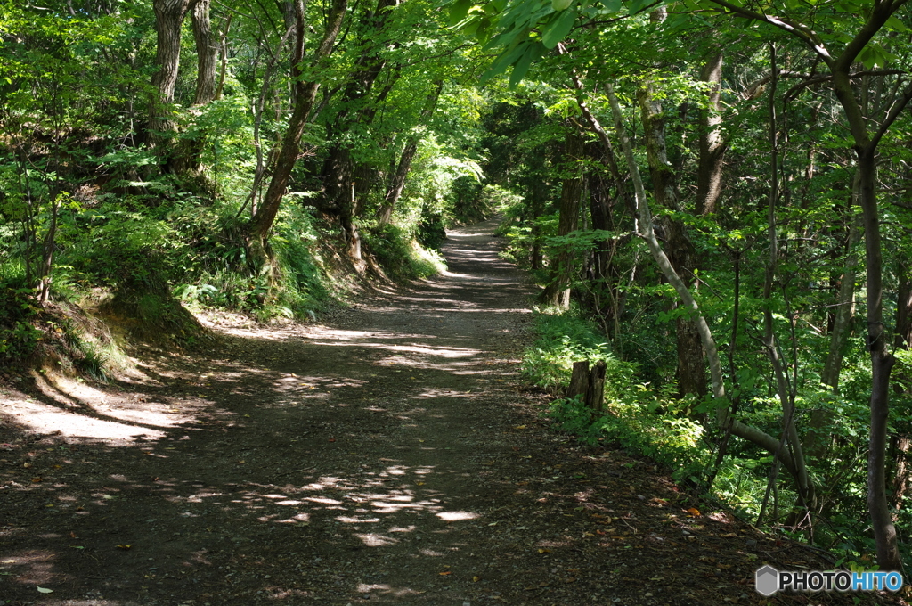護摩堂山登山道②