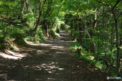 護摩堂山登山道②