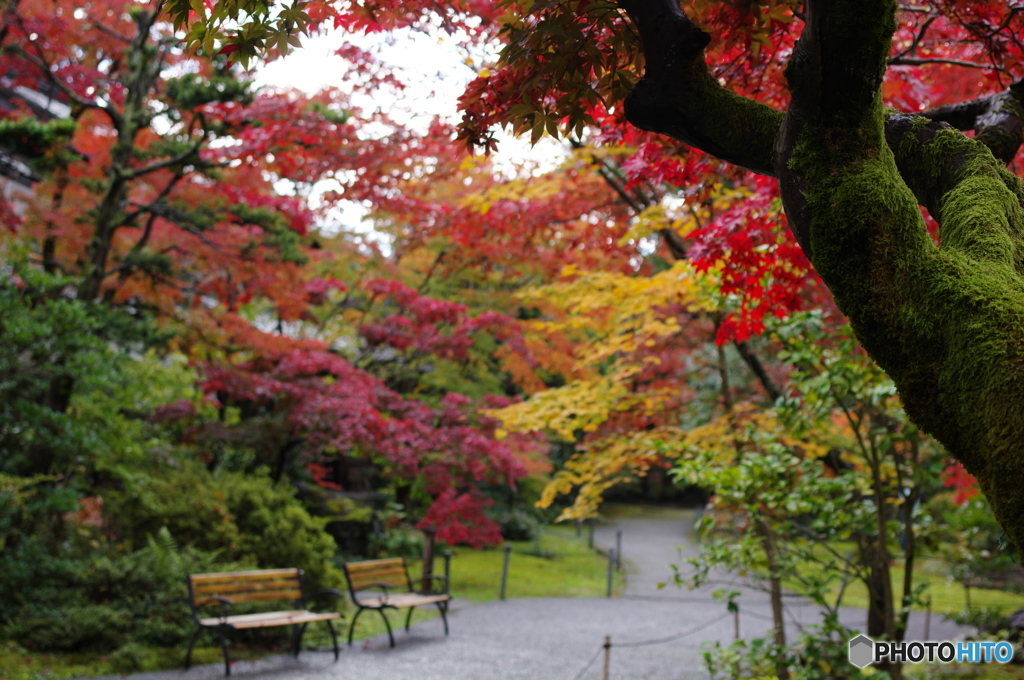 石油王の館(庭編⑧)