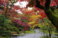 石油王の館(庭編⑧)