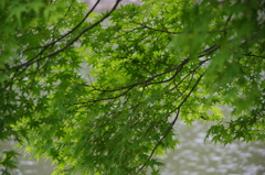 image...three