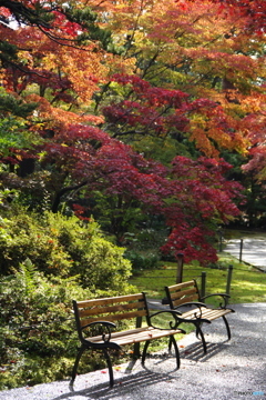 石油王の館(庭編⑬)
