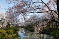 村松公園⑥