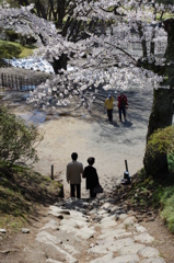 鶴ヶ城境内にて