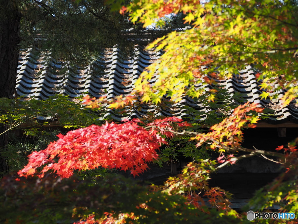 市島邸