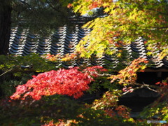 市島邸