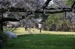 秋葉公園