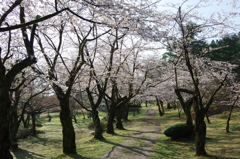 村松公園21