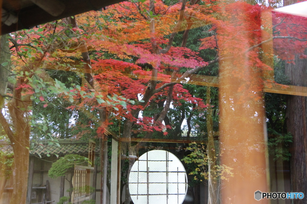 ガラスの紅葉