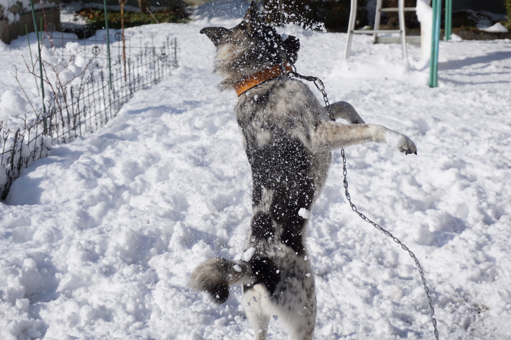 雪あそび