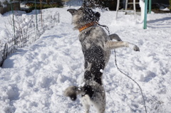雪あそび