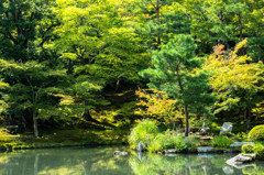 天龍寺にて