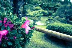 庭園