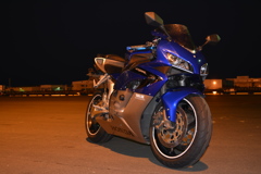 青い馬は美しい